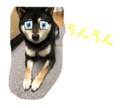 521375892