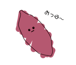 521395926