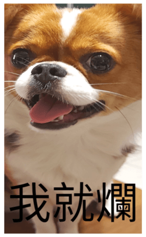 521399873