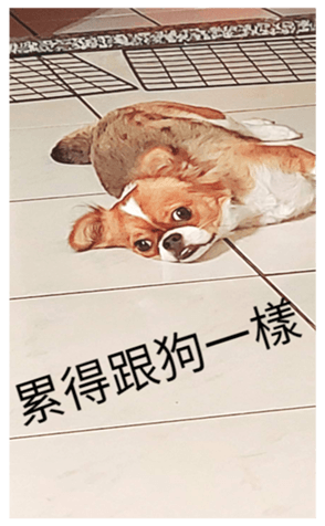 521399891