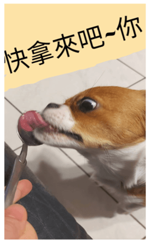 521399896