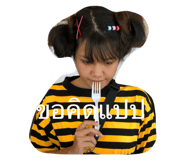 52143536