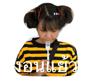 52143537
