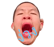 521499156