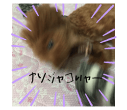 521573641
