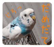 521586825
