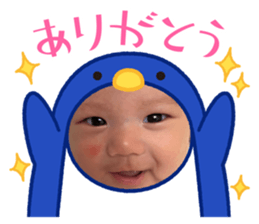 521633437