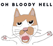 521644917