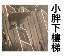 521692235