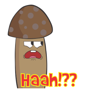 ลายที่ 3