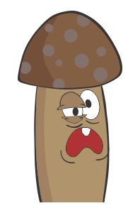 ลายที่ 5