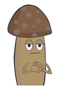 ลายที่ 6