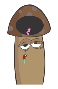 ลายที่ 7