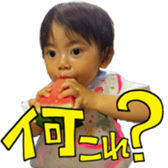 521733161