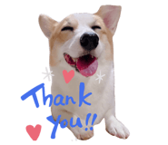 521842656