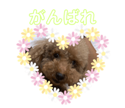 521909658