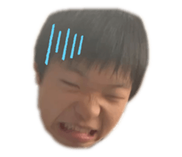 521911273
