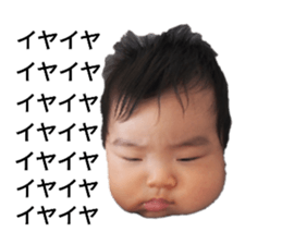 521911399