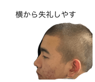 521915787