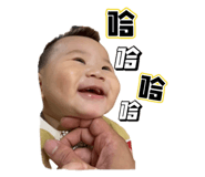 521927796