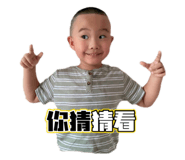 521927806