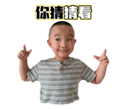 521927811