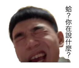 521957202