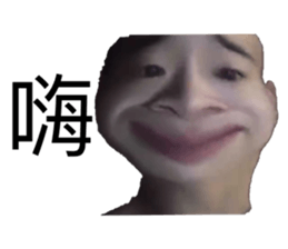 521957204