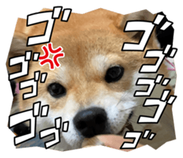 521991009