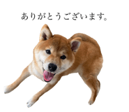 522003302