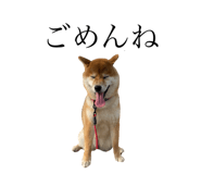 522003305