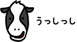 522007650