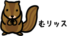 522007675