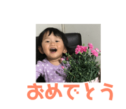522030254