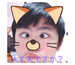 522036618