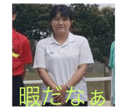 522036652