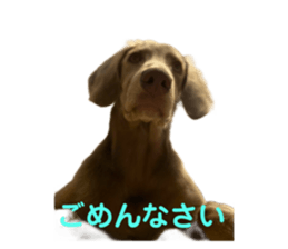 522043449