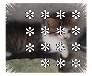 522056925