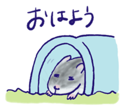 522068582