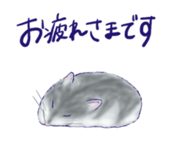 522068588