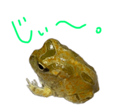 522091358