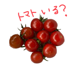 522091359