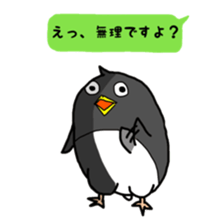 5221116