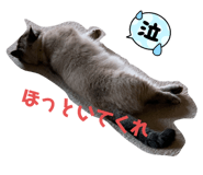 522151397