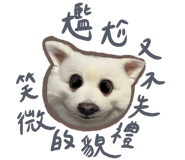 522178737
