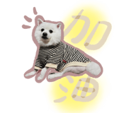 522178741