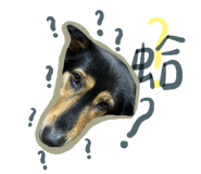 522178742