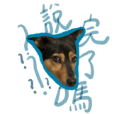 522178746
