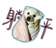 522178755