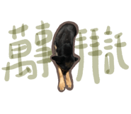 522178756